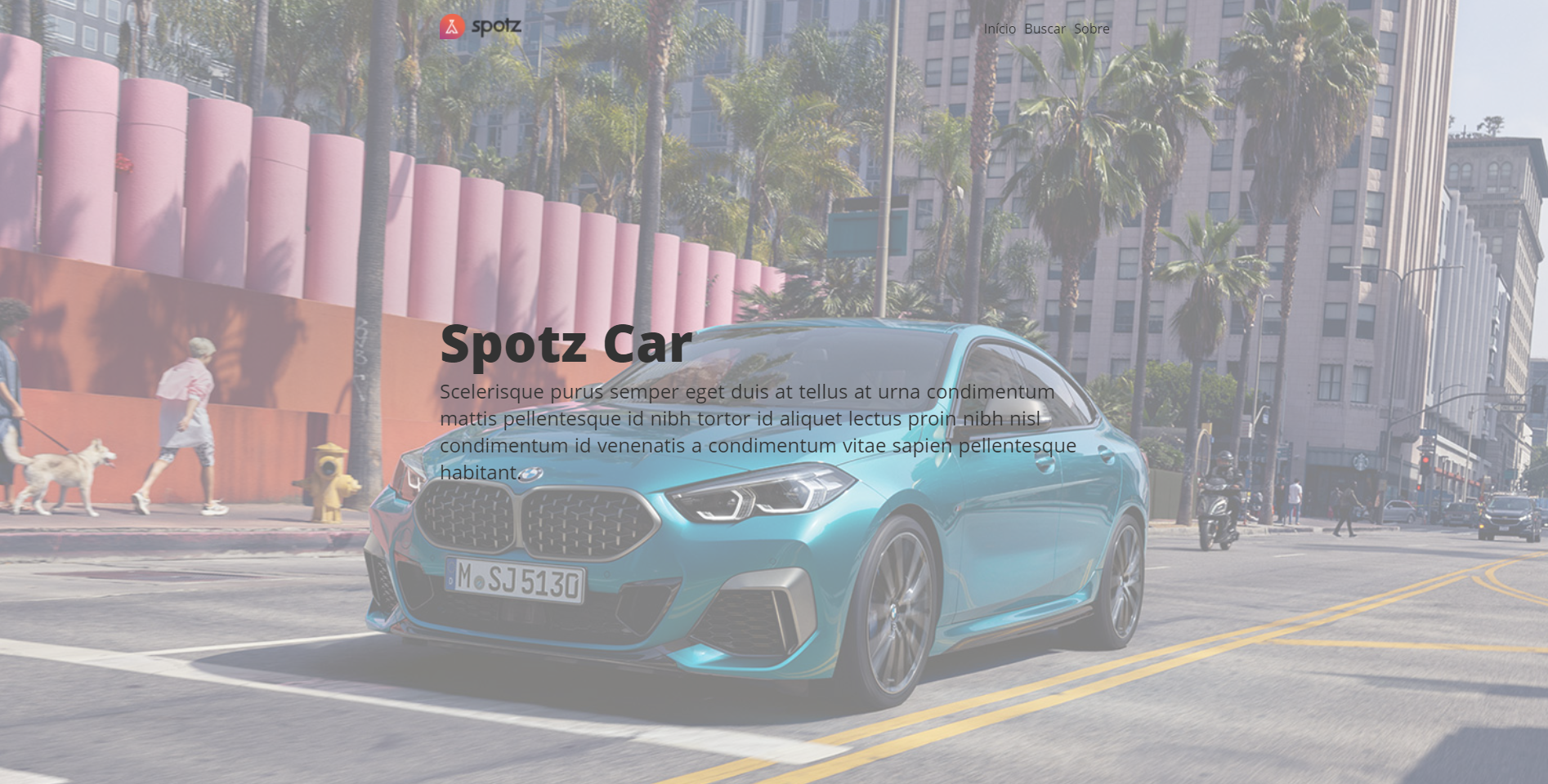 spotz homepage